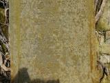 image of grave number 278843